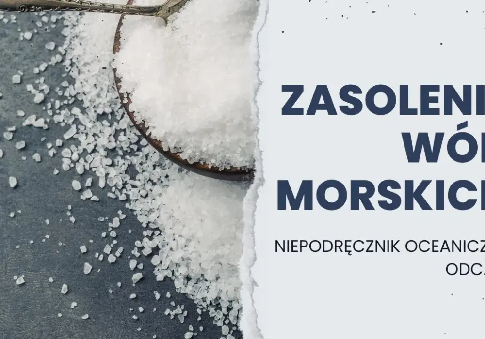 Jakie jest zasolenie Bałtyku? Zaskakujące różnice w jego wartościach