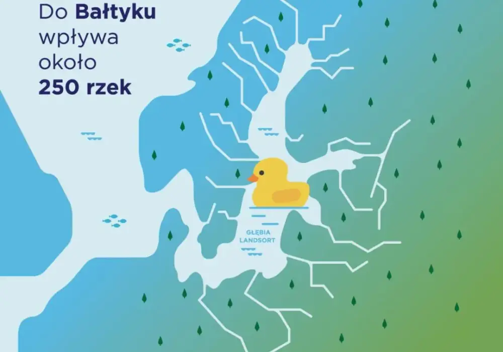 Jakie rzeki wpływają do Bałtyku i dlaczego mają kluczowe znaczenie?