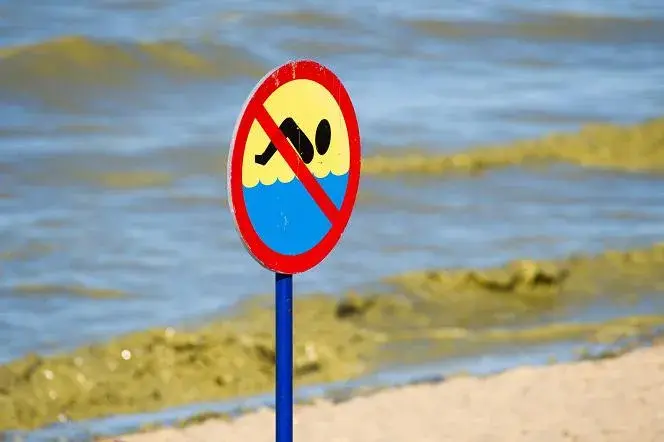 Gdzie są zamknięte plaże nad Bałtykiem i dlaczego warto to wiedzieć