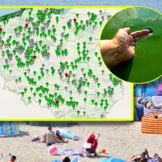 Aktualne informacje gdzie zamknięte plaże nad Bałtykiem: Lista ostrzeżeń