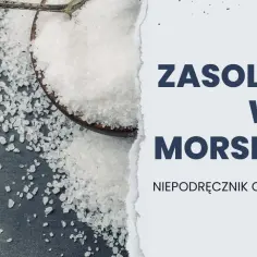 Jakie jest zasolenie Bałtyku? Zaskakujące różnice w jego wartościach