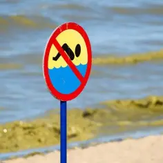 Gdzie są zamknięte plaże nad Bałtykiem i dlaczego warto to wiedzieć