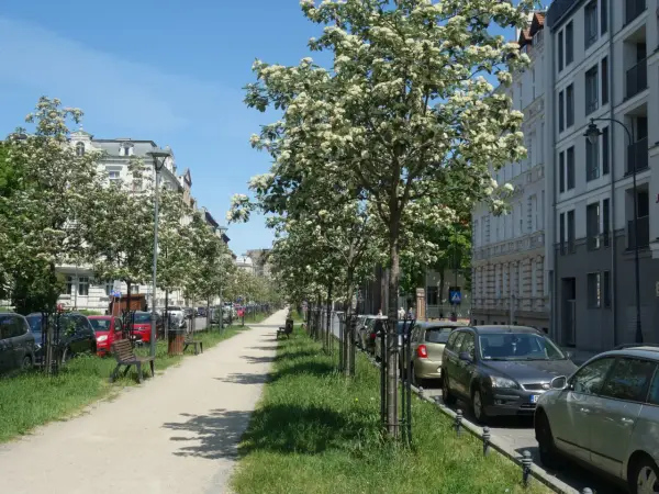 Ulica Lektykarska w Gdańsku - ważne informacje i ciekawostki